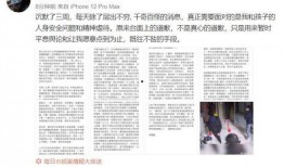 陈明文最新爆料视频大全,揭秘事件真相与幕后黑幕